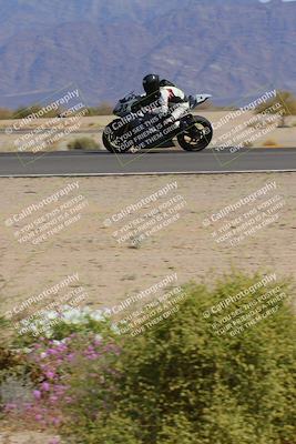 media/Mar-12-2023-SoCal Trackdays (Sun) [[d4c8249724]]/Turn 15 Inside Bloom (130pm)/